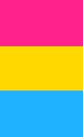 Pansexual Pride Flag Journal