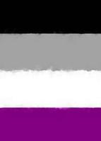 Asexual Pride Flag Journal