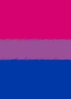 Bisexual Pride Flag Journal