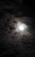 Moonlit Sky Journal