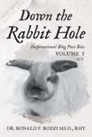 Down the Rabbit Hole: Inspirational Blog Post Bits Volume 1