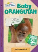 Baby Orangutan