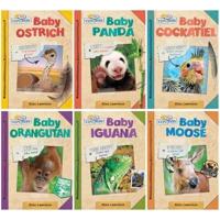 School & Library Active Minds Explorers Baby Animals Print Series