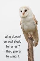 Why Doesn't an Owl Study for a Test? - They Prefer to Wing It.