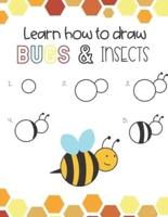 Learn How to Draw Insects and Bugs