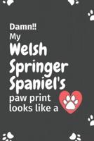 Damn!! My Welsh Springer Spaniel's Paw Print Looks Like A