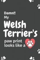 Damn!! My Welsh Terrier's Paw Print Looks Like A