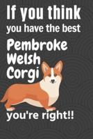 If You Think You Have the Best Pembroke Welsh Corgi You're Right!!