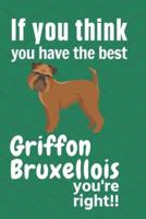 If You Think You Have the Best Griffon Bruxellois You're Right!!