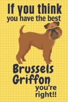 If You Think You Have the Best Brussels Griffon You're Right!!