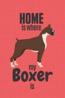 Home Is Where My Boxer Is