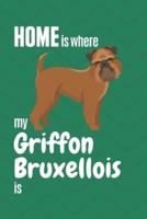 Home Is Where My Griffon Bruxellois Is