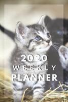 Weekly Planner