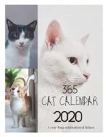 365 Cat Calendar 2020