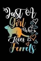 Just A Girl Who Loves Ferrets Funny Gift Journal