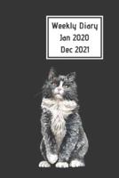 Weekly Diary Jan 2020 - Dec 2021
