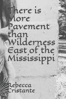 There Is More Pavement Than Wilderness East of the Mississippi