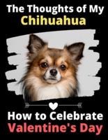 The Thoughts of My Chihuahua