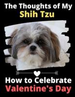 The Thoughts of My Shih Tzu