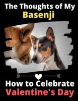 The Thoughts of My Basenji