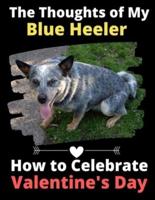 The Thoughts of My Blue Heeler