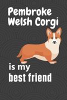 Pembroke Welsh Corgi Is My Best Friend