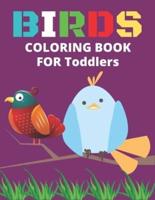 Birds Coloring Book for Toddlers