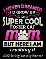 Super Cool Foster Cat Mom