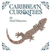 Caribbean Curiosities