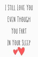 I Still Love You Even Though You Fart In Your Sleep