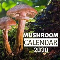 Mushroom Calendar 2020