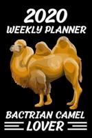 2020 Weekly Planner Bactrian Camel Lover