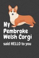 My Pembroke Welsh Corgi Said HELLO to You