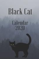 Black Cat 2020 Calendar Planner