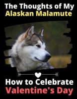 The Thoughts of My Alaskan Malamute