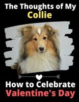 The Thoughts of My Collie
