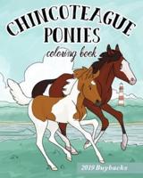 Chincoteague Ponies Coloring Book