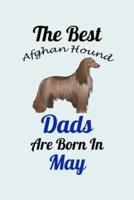 The Best Afghan Hound Dads Are Born In May