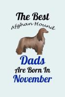 The Best Afghan Hound Dads Are Born In November