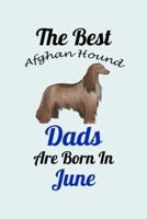 The Best Afghan Hound Dads Are Born In June