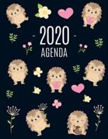 Erizo Agenda 2020