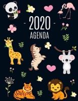 Animales De La Selva Agenda 2020