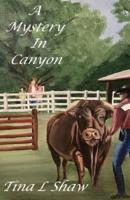A Mystery In Canyon