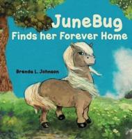 JuneBug Finds Her Forever Home