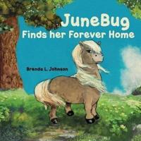 JuneBug Finds Her Forever Home