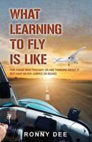 What Learning to Fly Is Like