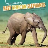 All About Baby African Elephants