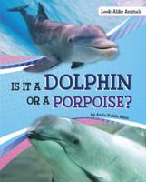 Is It a Dolphin or a Porpoise?