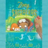 Zoey and Sassafras: Merhorses and Bubbles Lib/E