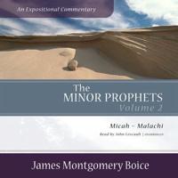 The Minor Prophets: An Expositional Commentary, Volume 2